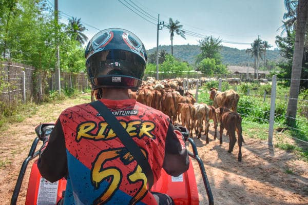CFMoto ATVs