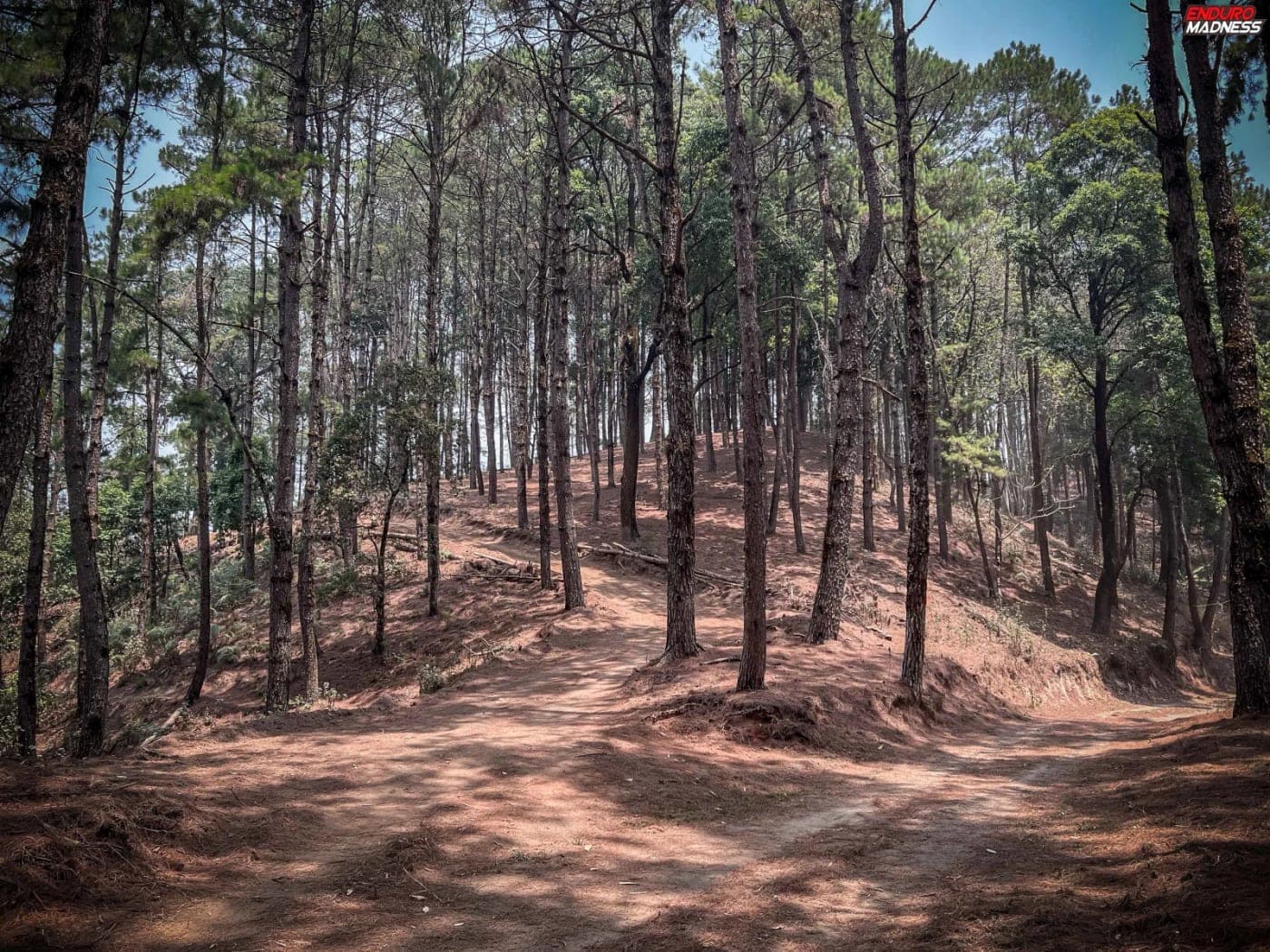 Day 6 — Mae Hong Son to Pai